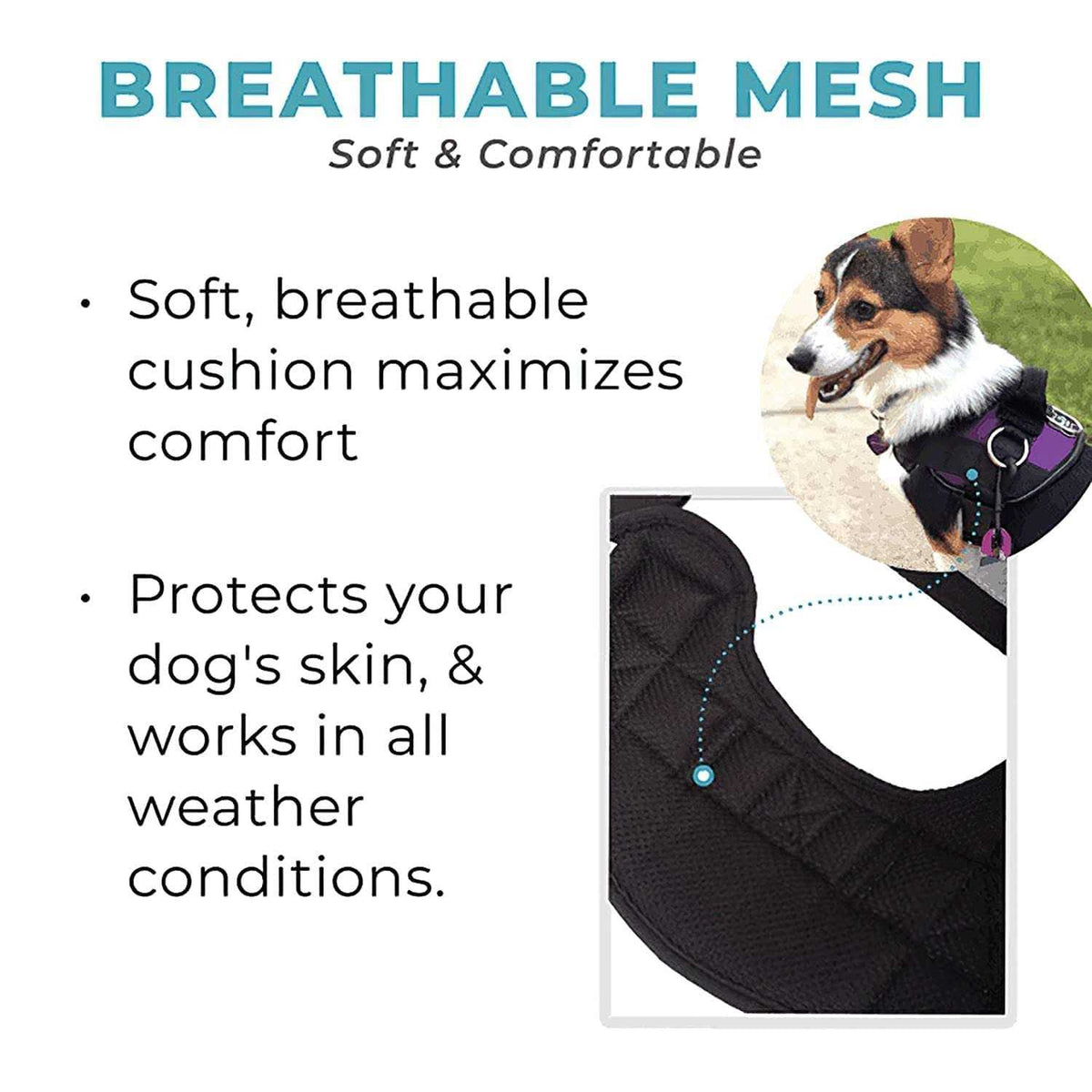 No Pull Easy On-Off Dog Harness I726323