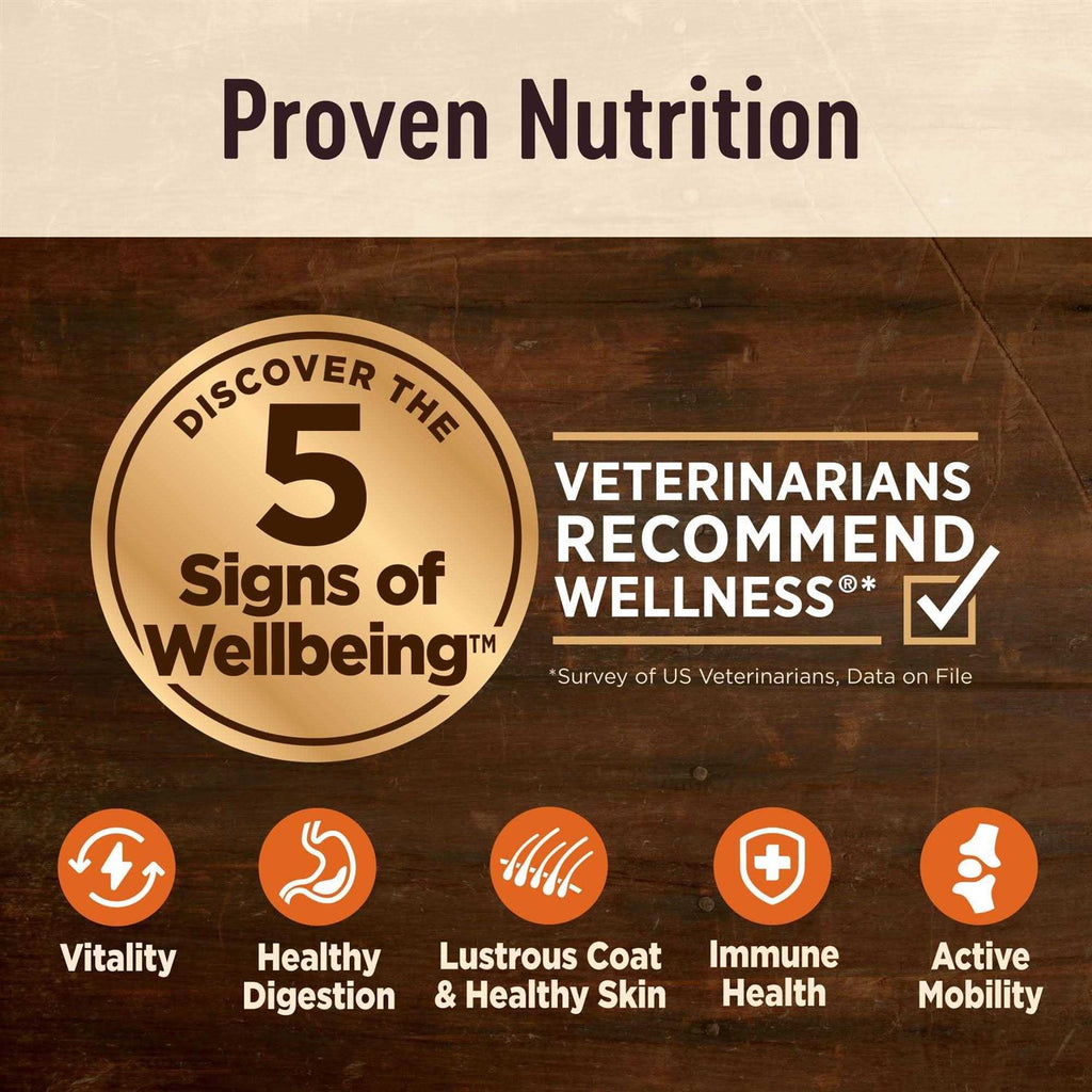 Senior Dry Dog Food D297222