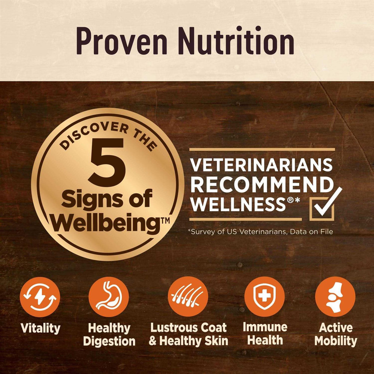Senior Dry Dog Food D297222