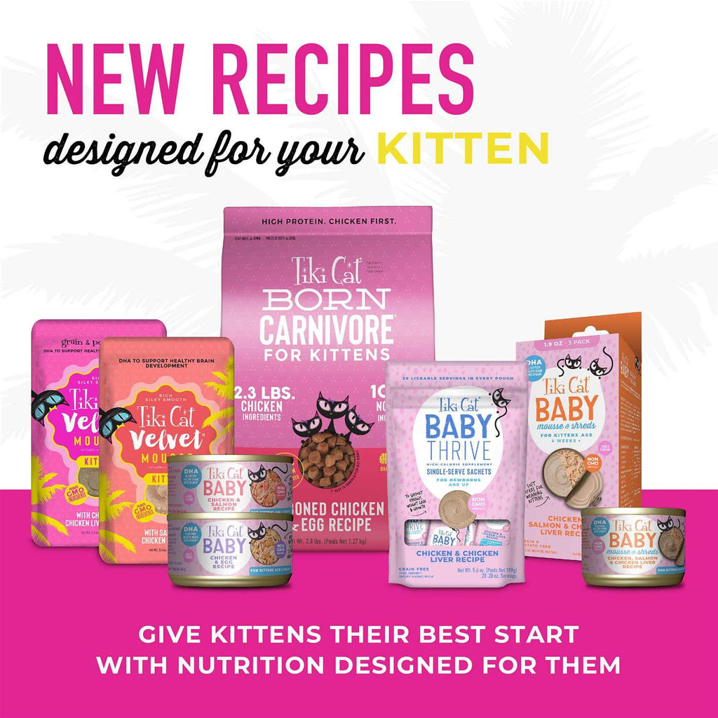 Chicken & Egg Cat Food B807281