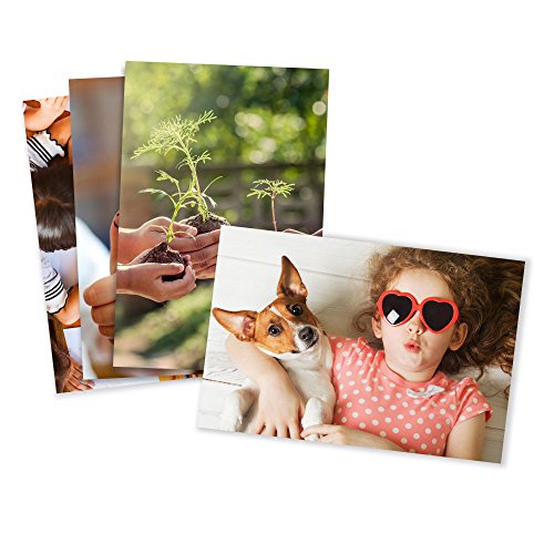 Glossy Standard Size 4x6 Photo Prints B28030