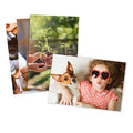 Glossy Standard Size 4x6 Photo Prints B28030