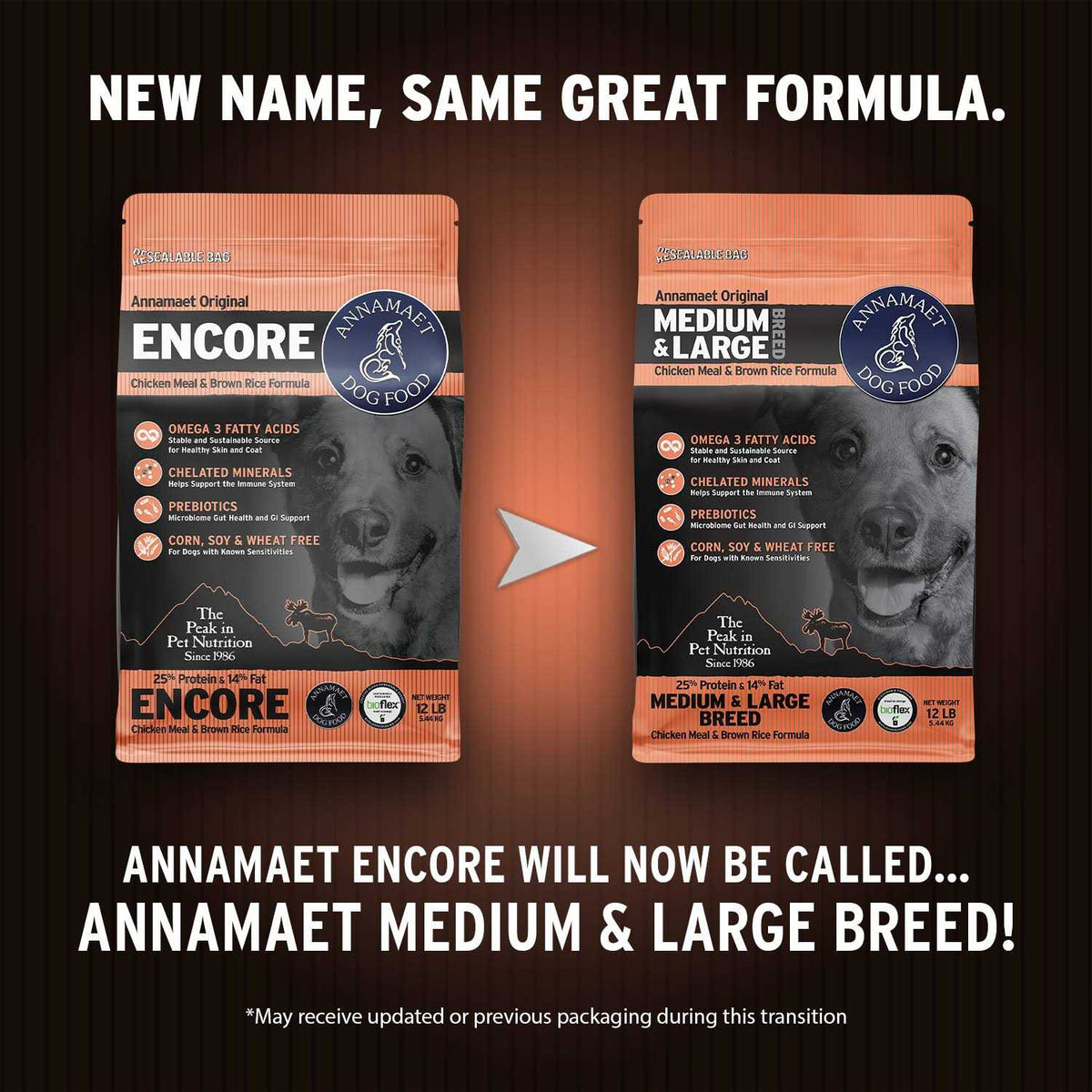 Medium & Large Breed Dry Dog Food R48026