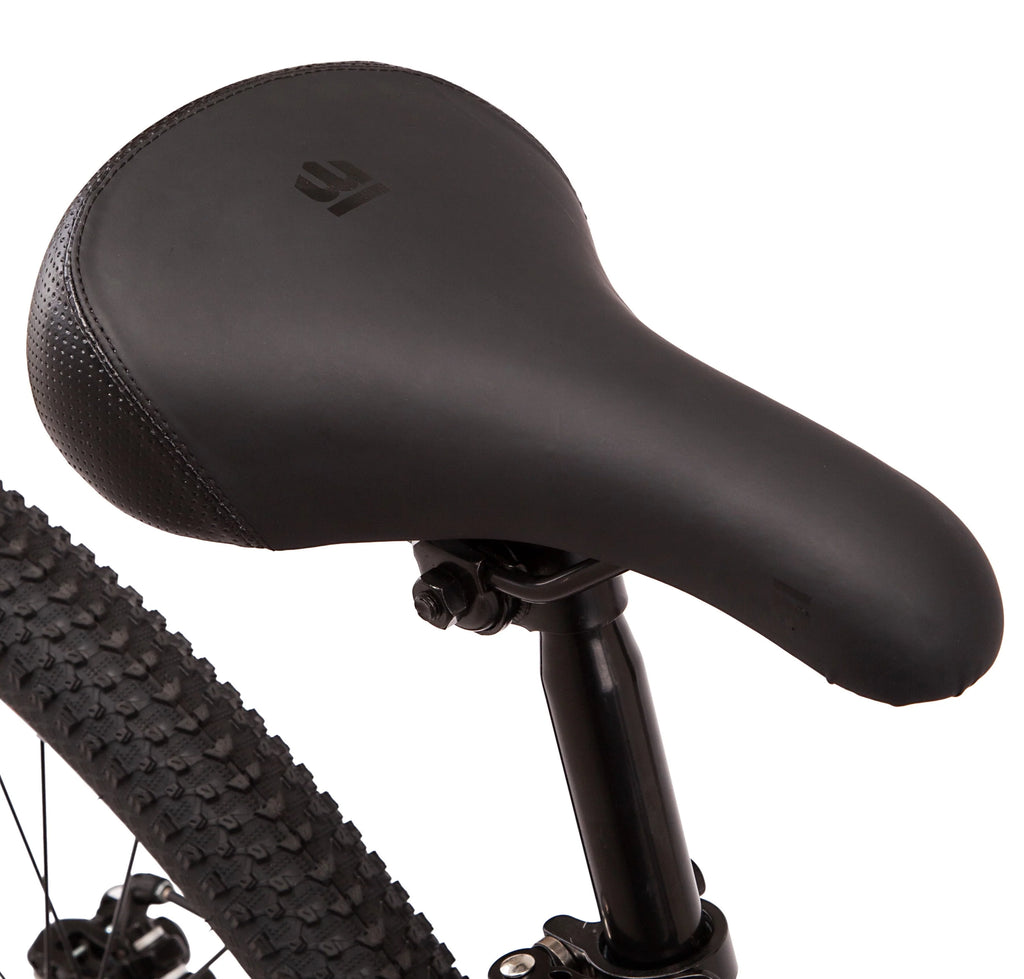 29 Mountain Bike, 21 Speeds, Gray D78153