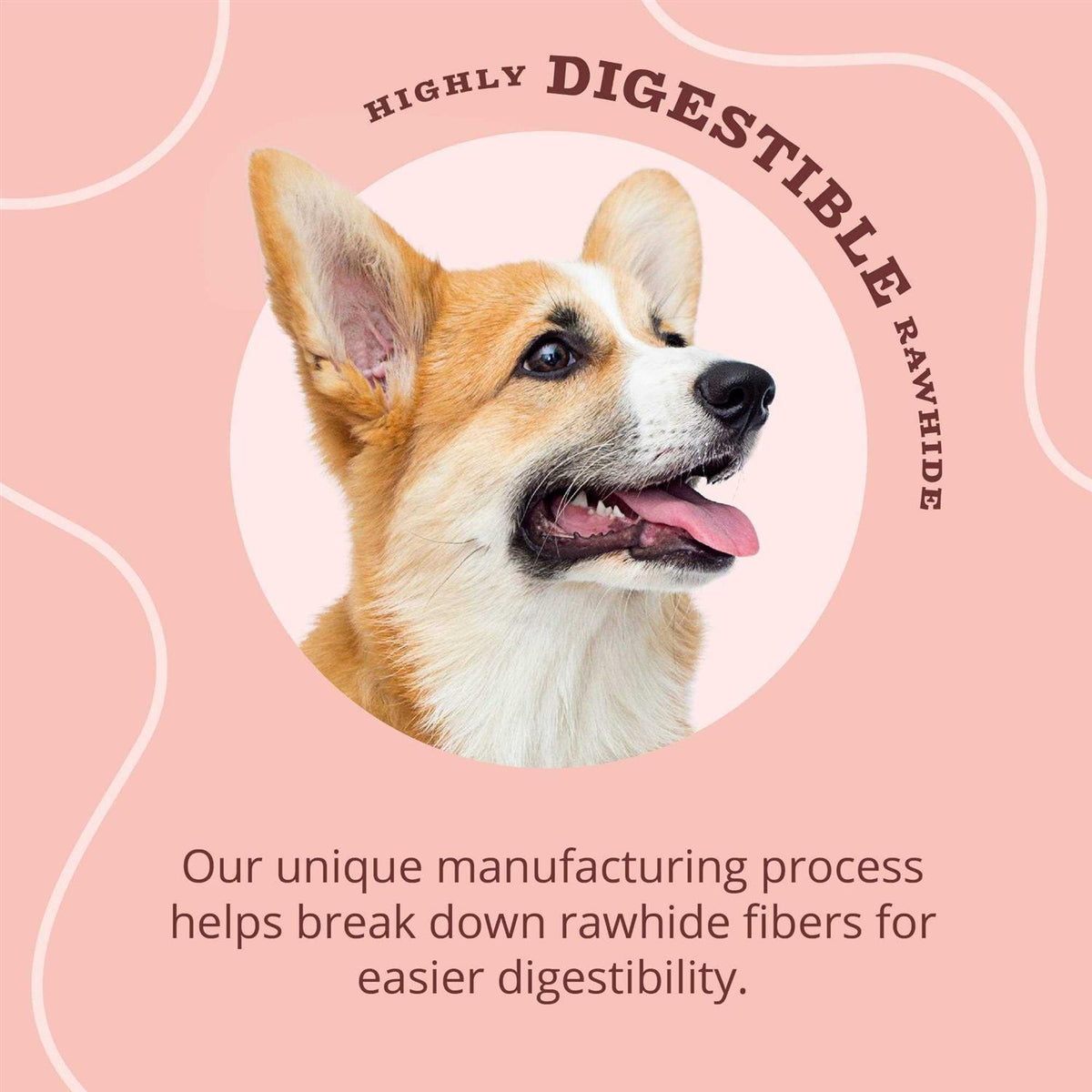 Real Dog Treats D216