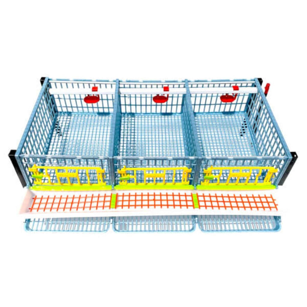Partridge Cage 1 Layer C9072