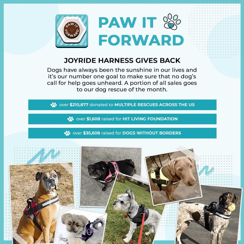 No Pull Easy On-Off Dog Harness I726323