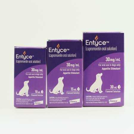 Oral Solution for Dogs S55460