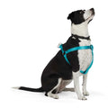 Dog Harness O4689