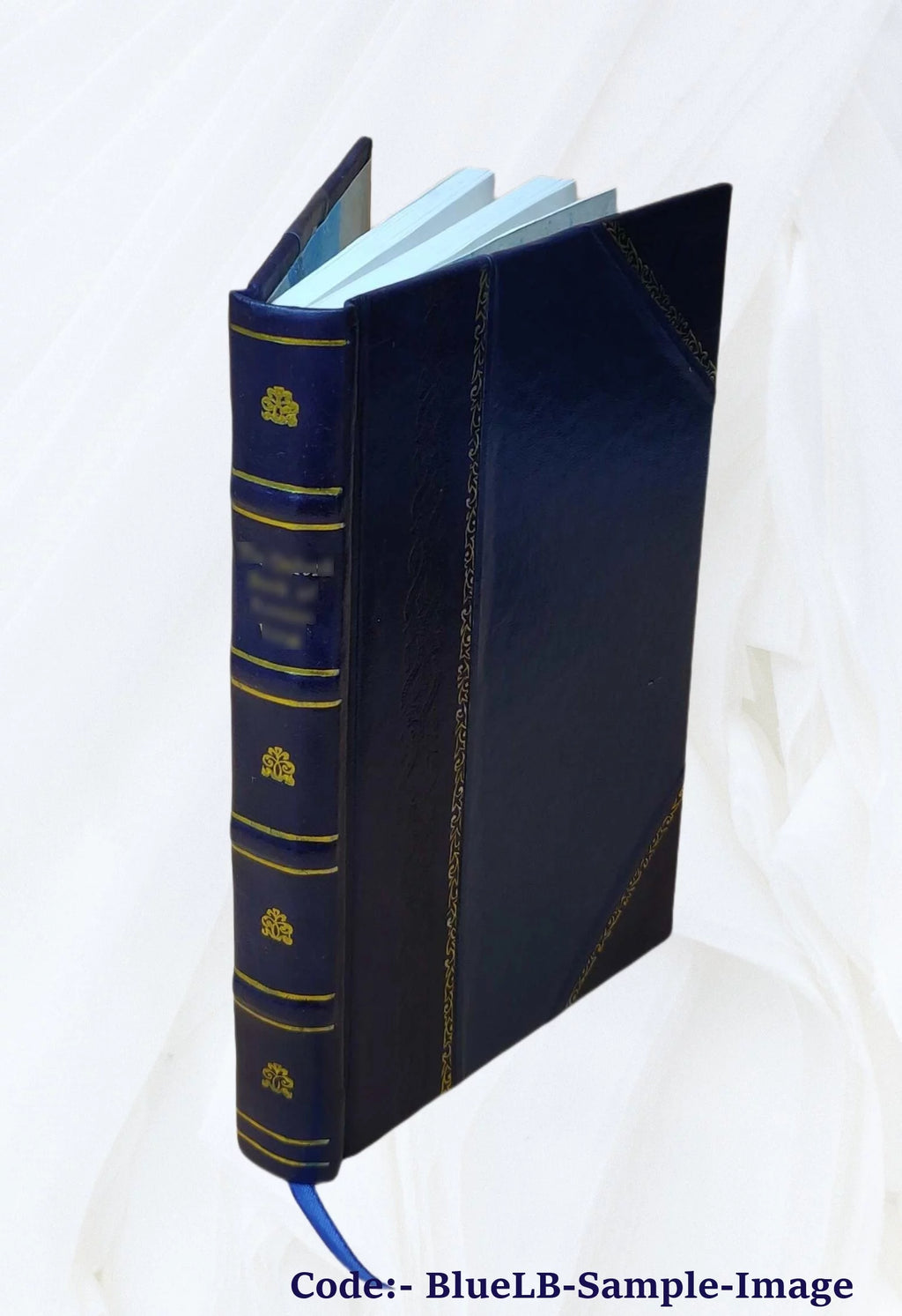 Leather Bound Book C855