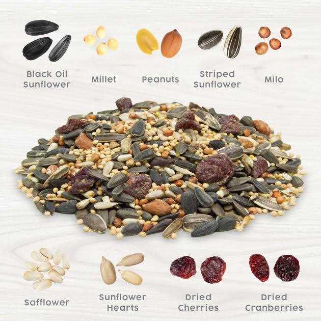 Red Berry & Nut Bird Food R929