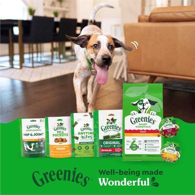 High Protein Chicken & Rice Dry Dog Food G571948