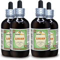 Organic Dried Leaves and Flowers Alcohol-Free Liquid Extract K740