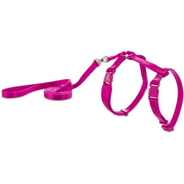 Harness C6871