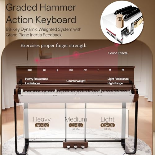 88-Key Graded Hammer Action Digital Piano J64735