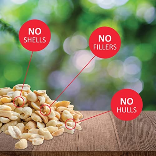 Peanut Pieces Wild Bird Seed 15 lb bag F963