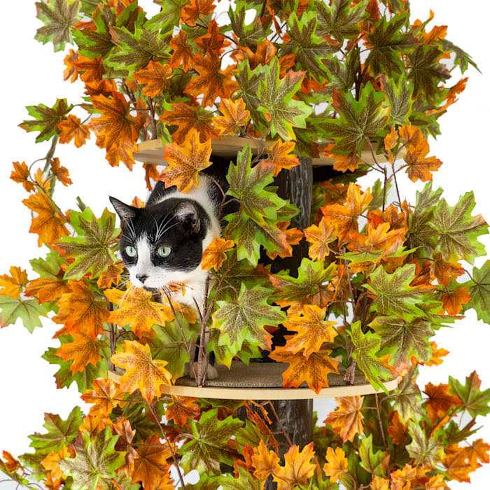 Square Cat Tree U9552
