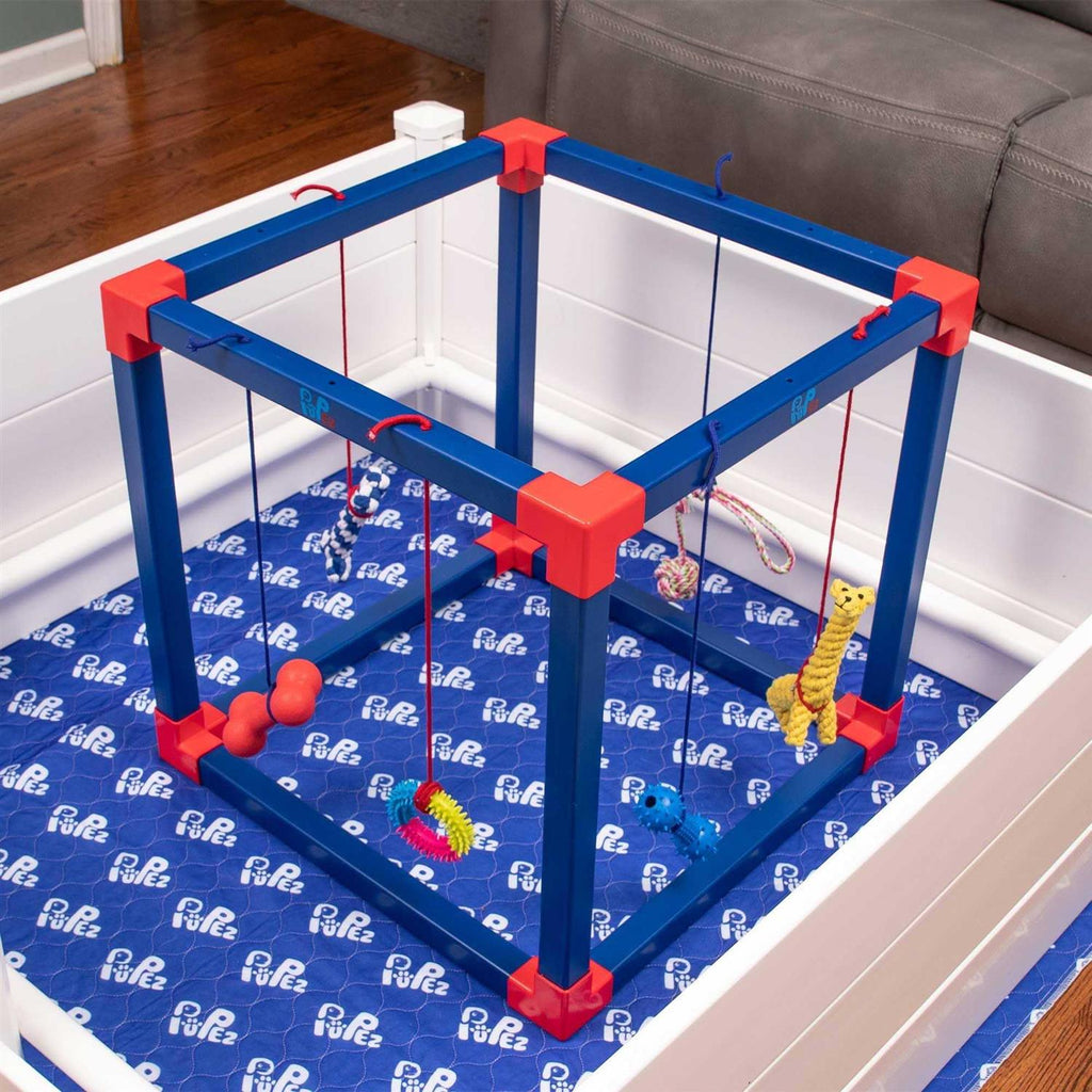 Puppy Play Gym X53579