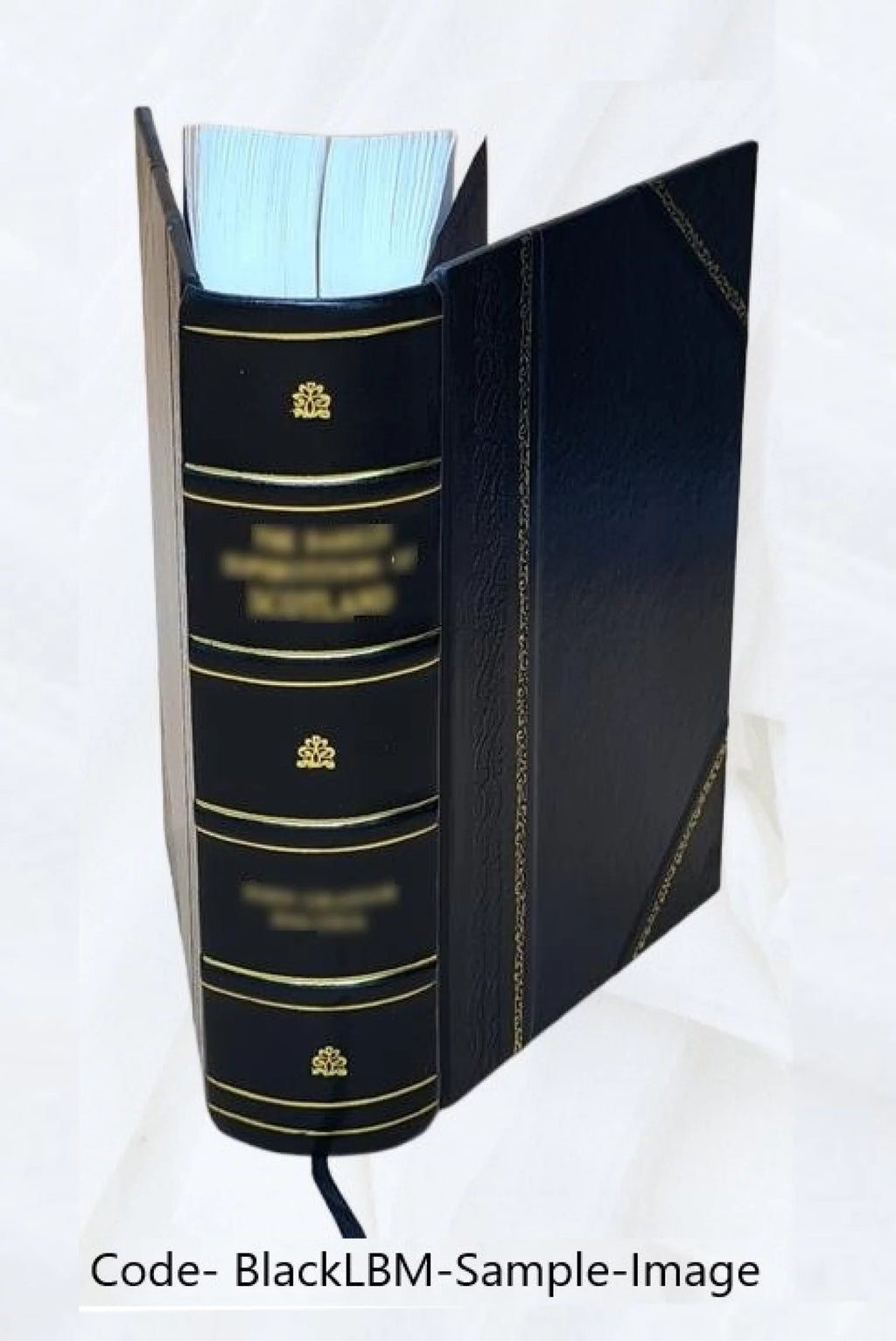 Leather Bound Z87335