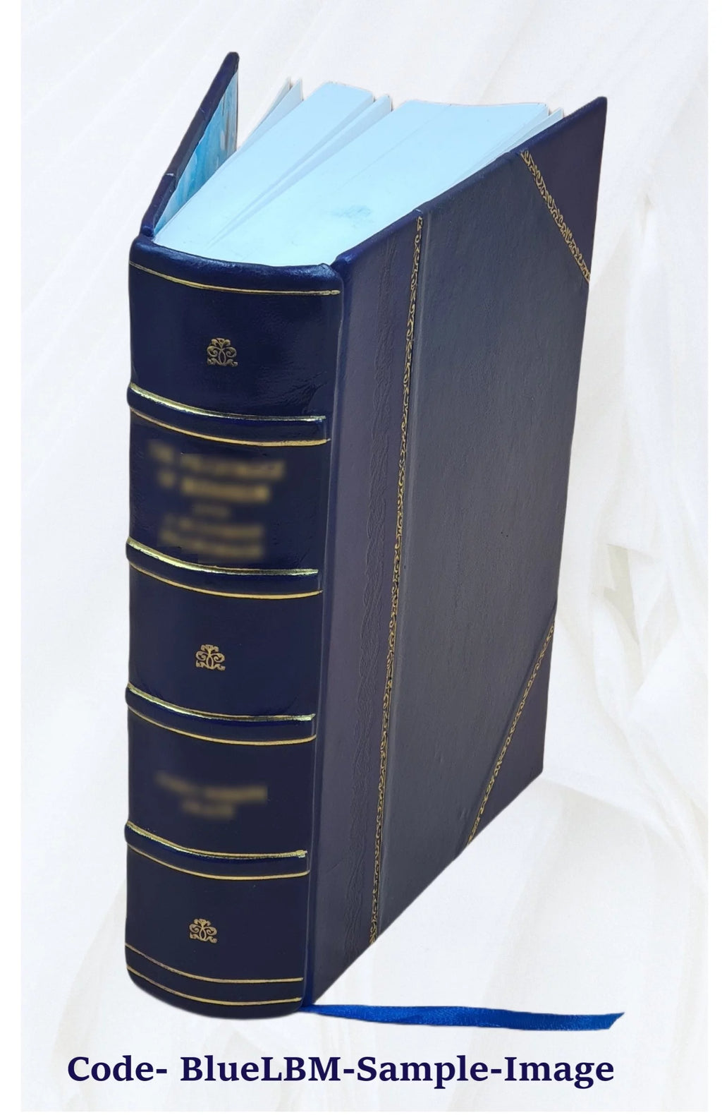Leather Bound Z87335