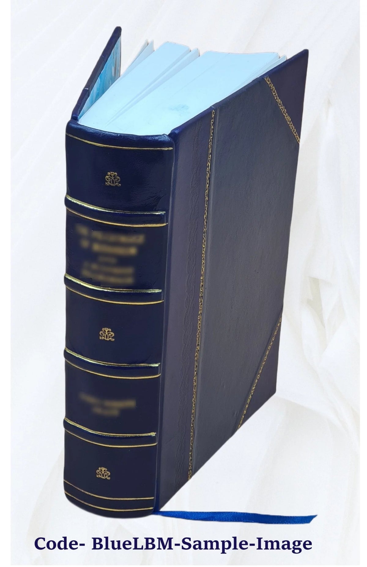 Leather Bound Z87335