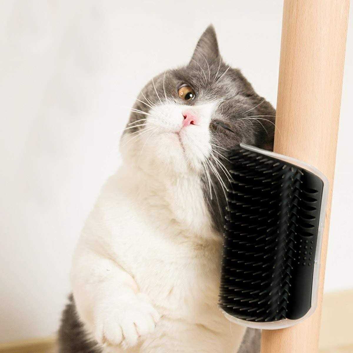 2 Pack Cat Self Groomer Wall Brush with Catnip X311196