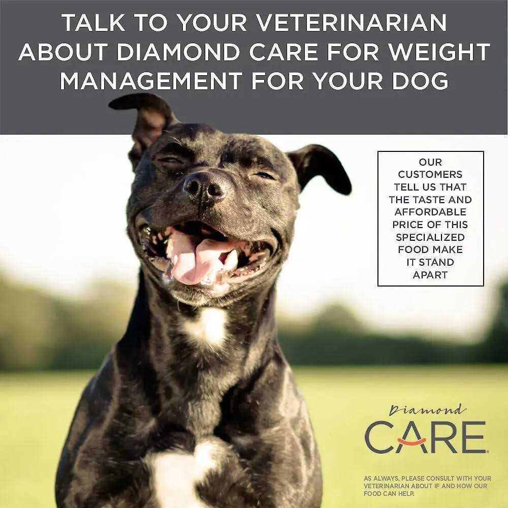 Adult Dry Dog Food B568