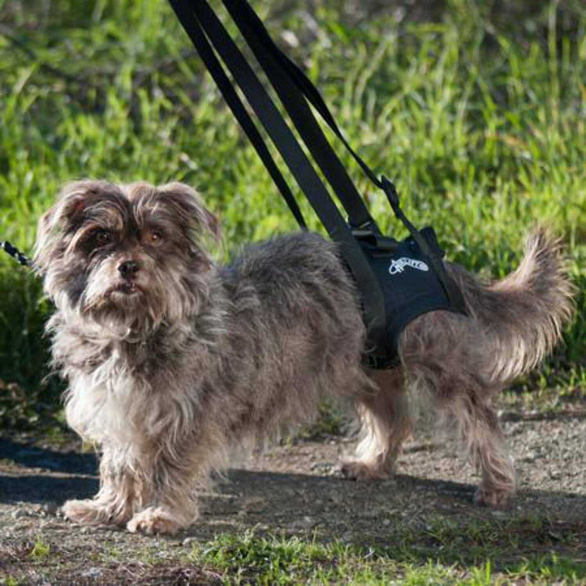 Support Harness Z9811