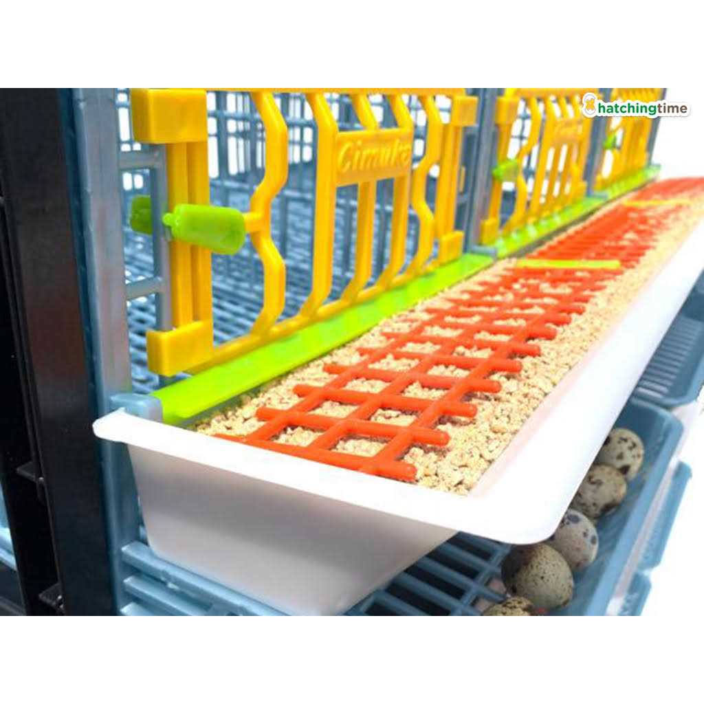Partridge Cage 1 Layer C9072