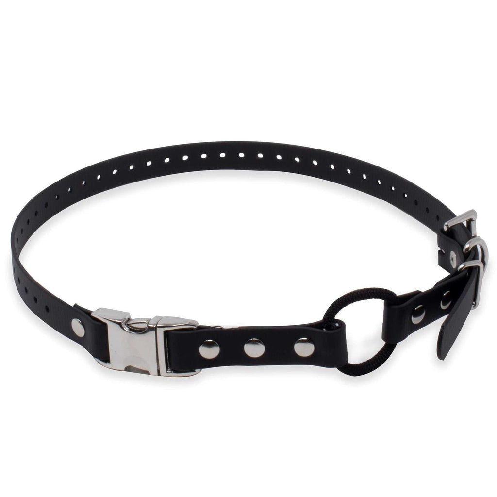 Bungee Collar D822451
