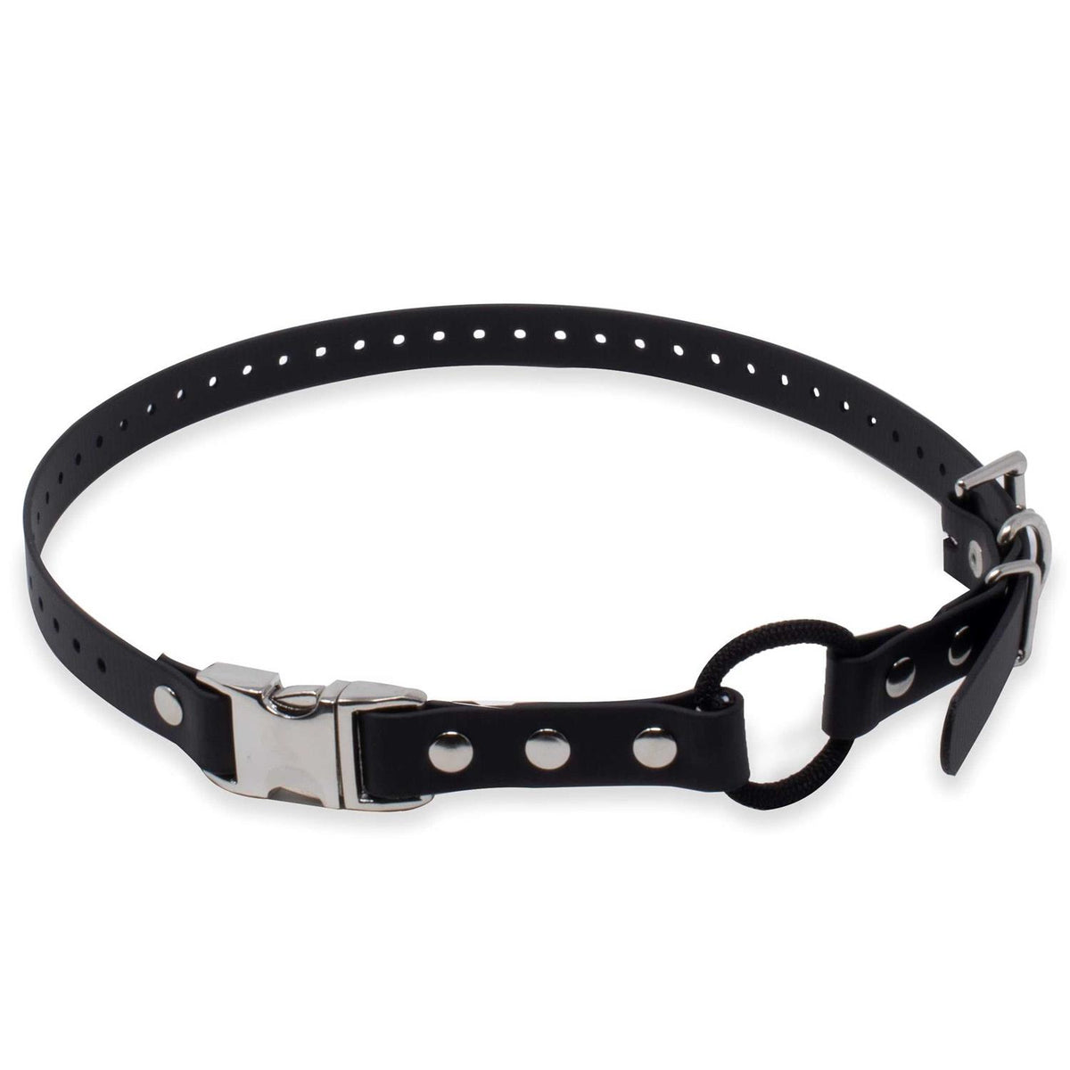 Bungee Collar D822451