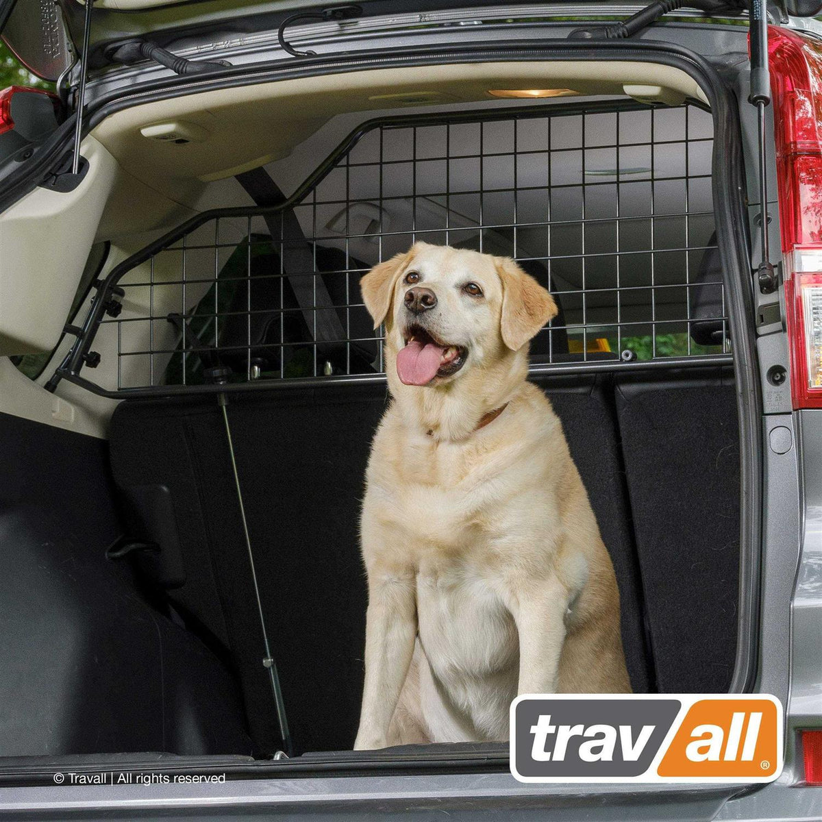 Pet/Cargo Barrier Z2113