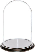 8" x 12" Glass Display Dome Cloche with Black Wood Veneer Base D193