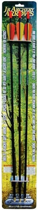 Archery Arrows 3-Pack L994590