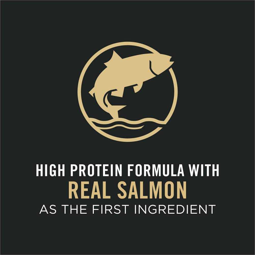 Salmon & Rice Formula Dry Cat Food N5412