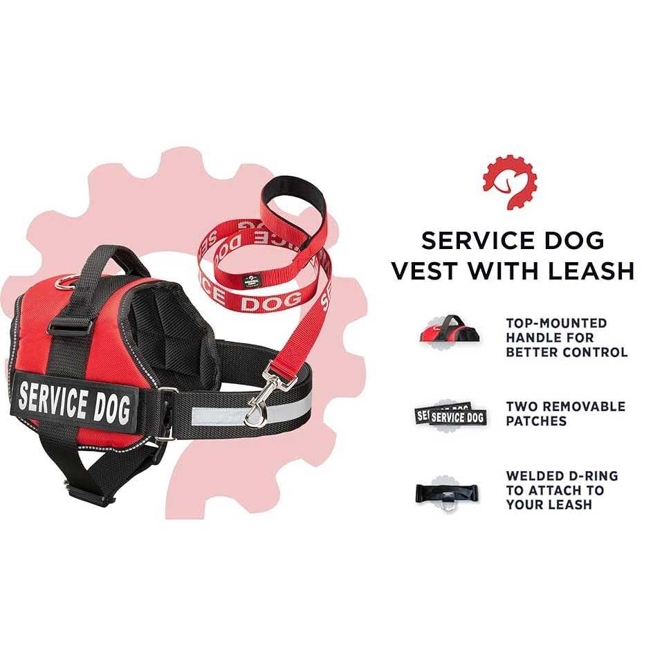Service Dog Vest with Straps & Leash Set E851404