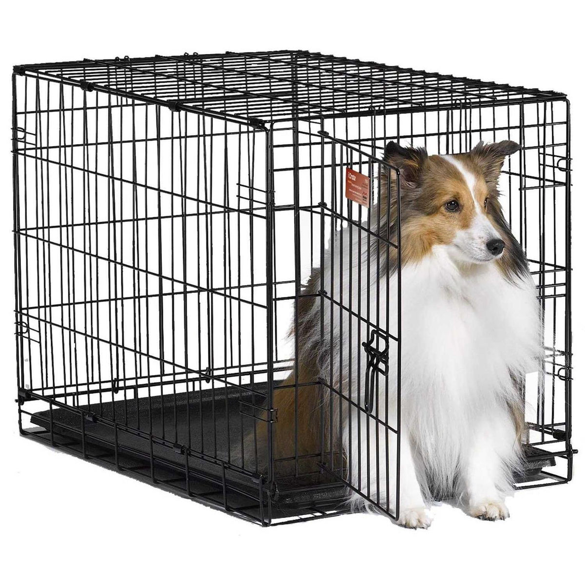 Single Door Dog Crate I16927