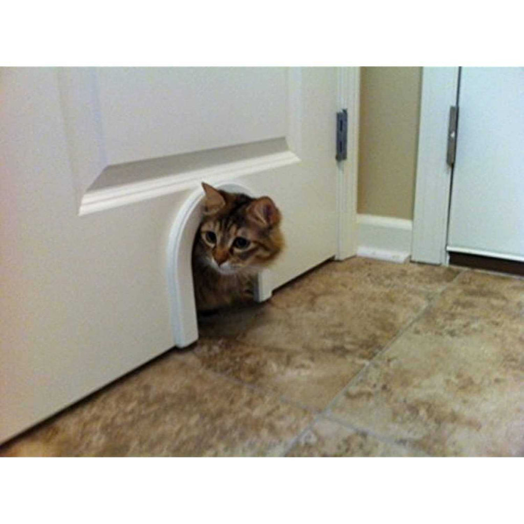 Cat Door with Brush J650