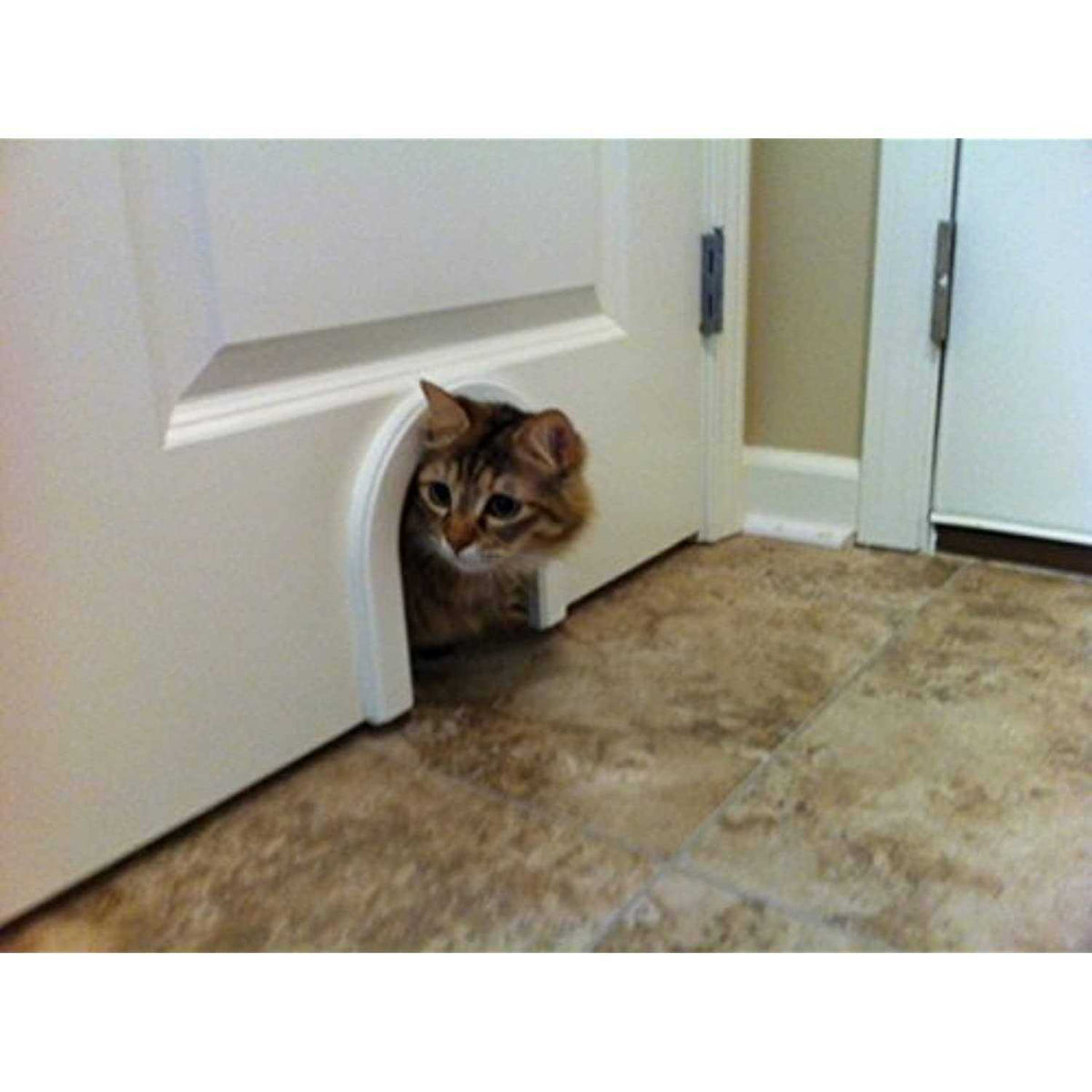 Cat Door with Brush J650