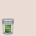 Semi-Gloss White Exterior Paint 5-Gallon H67264