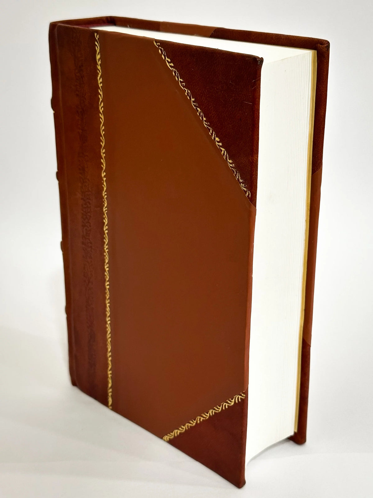 The Life of Jonathan Swift Volume 2 Leather Bound C52014