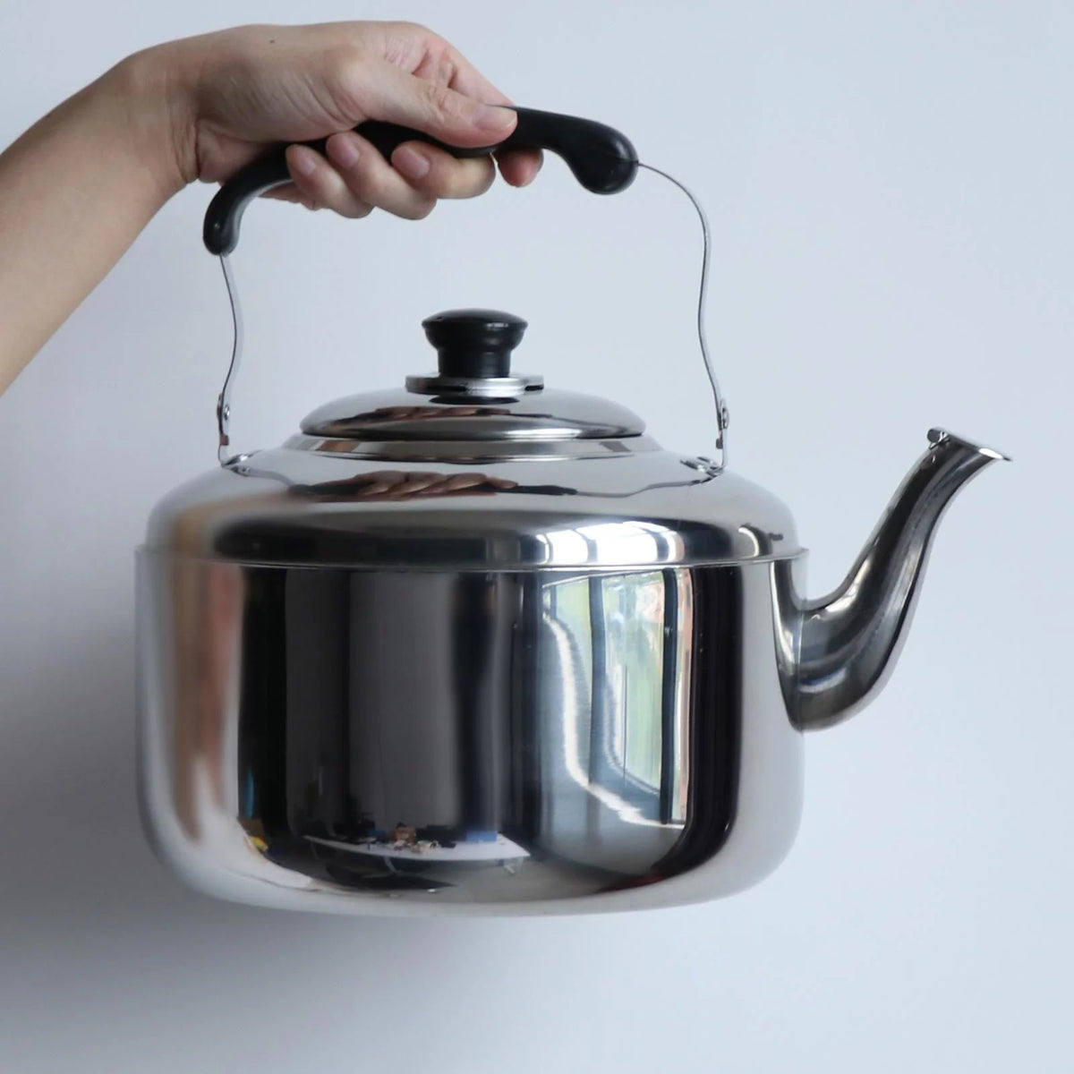 Stainless Steel 5L Stovetop Whistling Kettle M187884