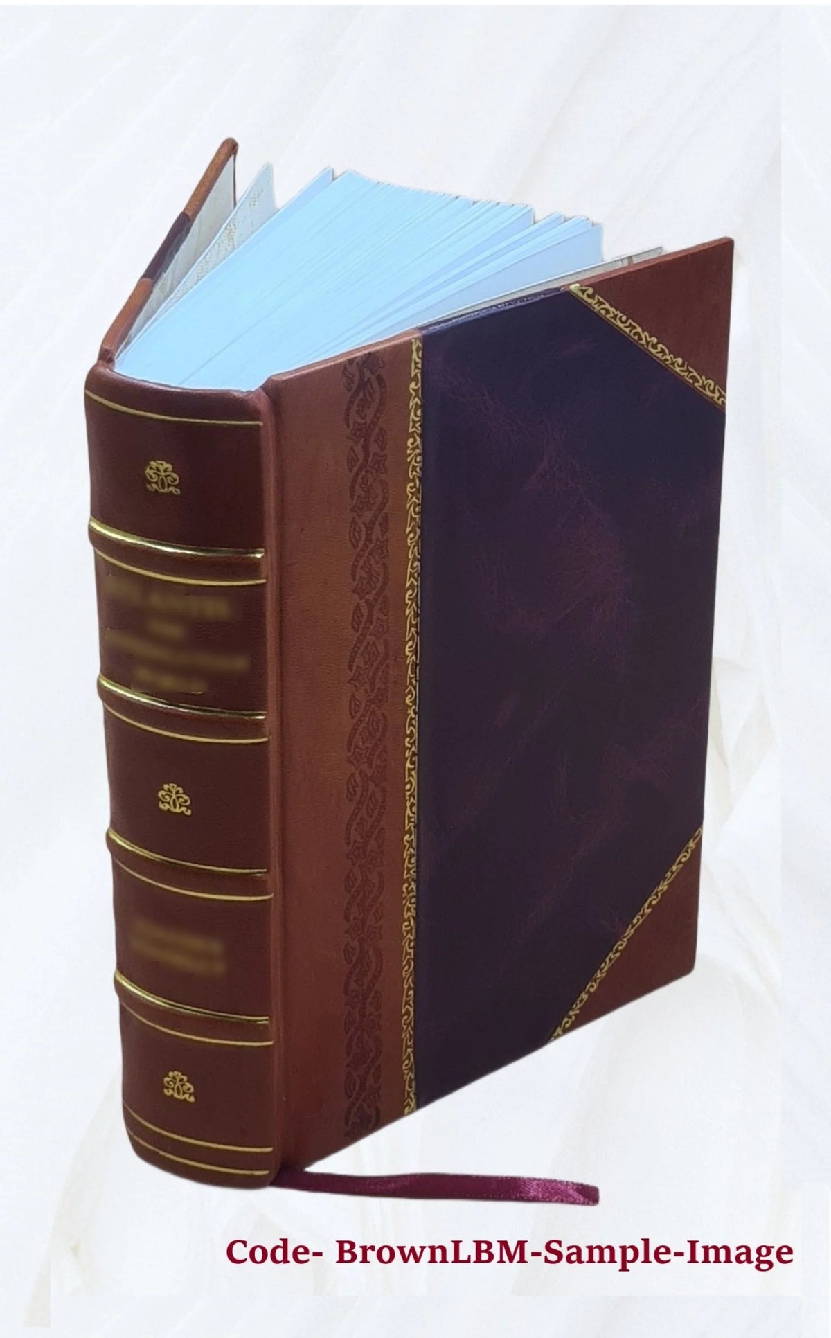 Leather Bound Z87335