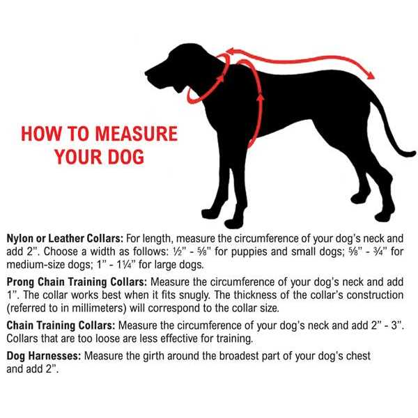 Comfort Mesh Harness N22705