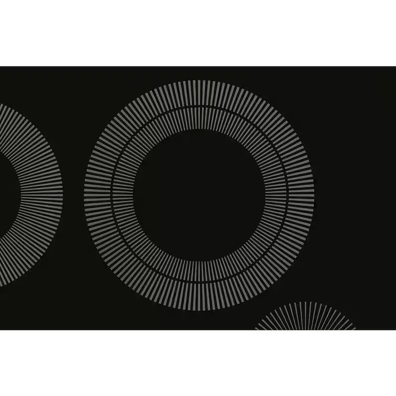 30 in. 4 Elements Electric Cooktop W741617
