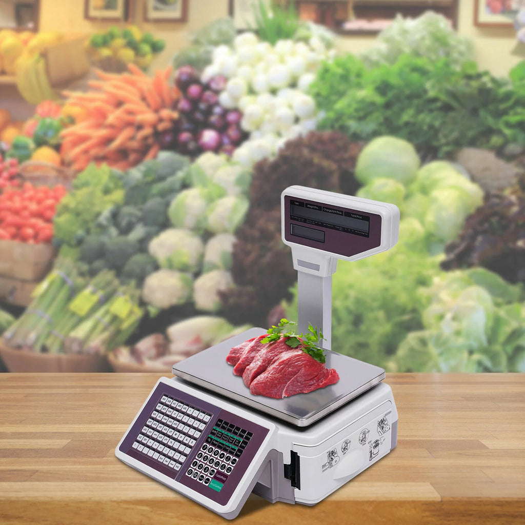 66LB Digital Price Computing Scale Q416