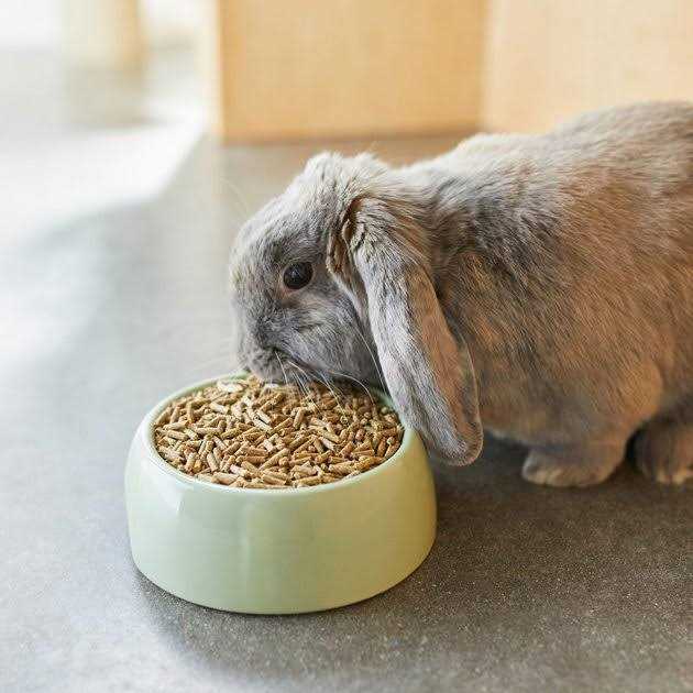 Timothy Based Rabbit Food G23683