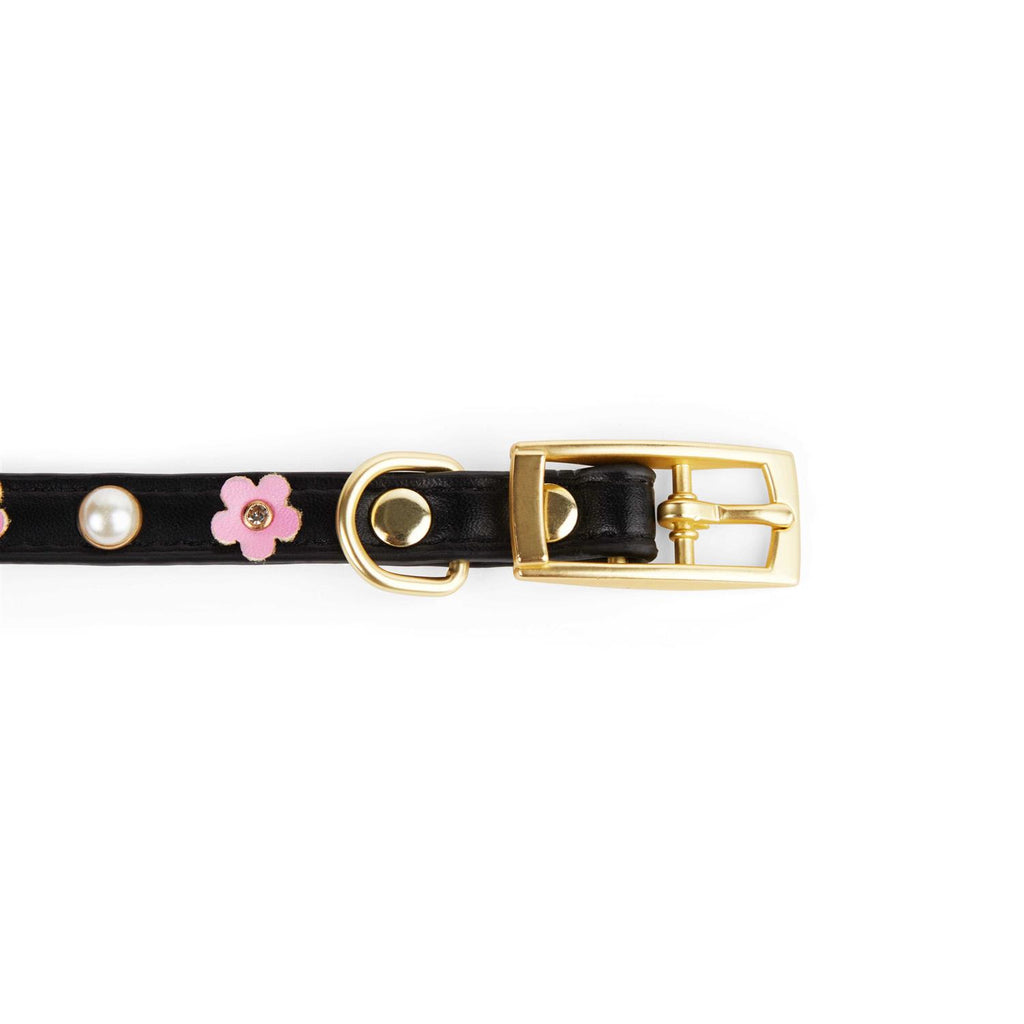 Flower Dog Collar F435