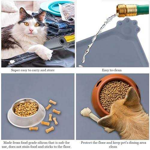 Silicone Pet Feeding Mat with Raised Edges C287557