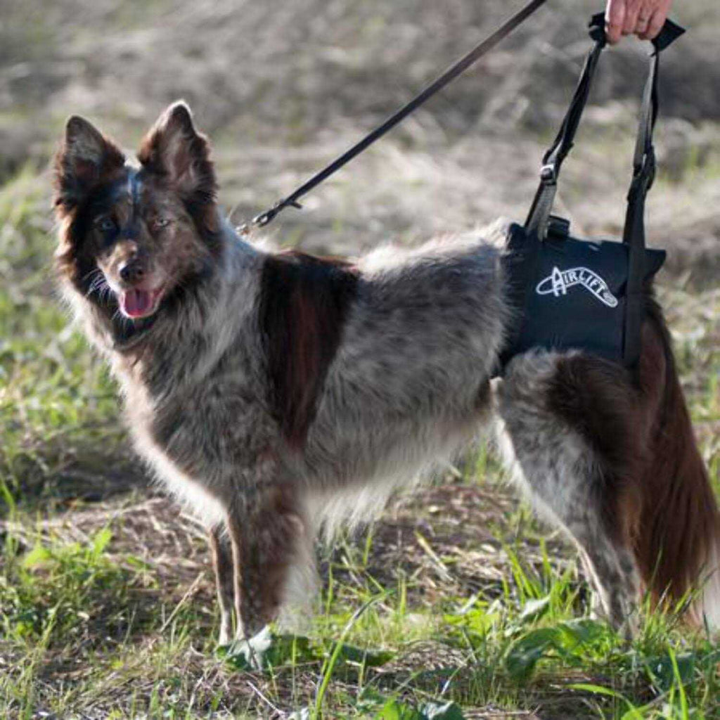 Support Harness Z9811